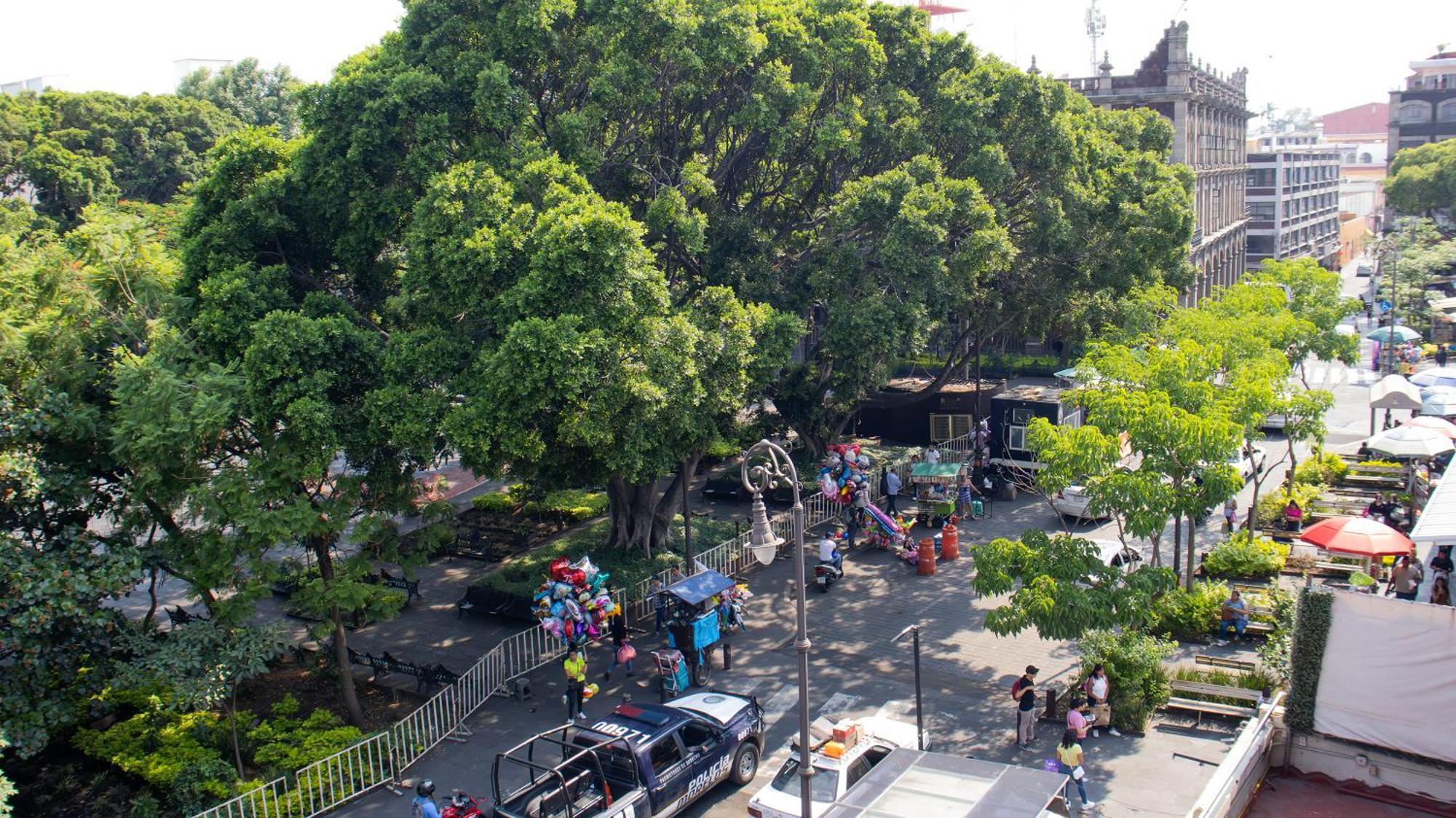 Suites Las Plazas Cuernavaca Zewnętrze zdjęcie